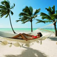 Отзыв от Евгения - DTV виза